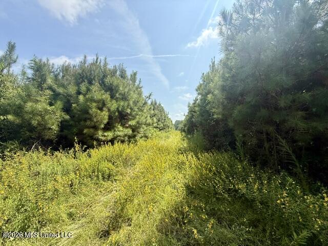 Ten Mile Creek Road Property Photo 44