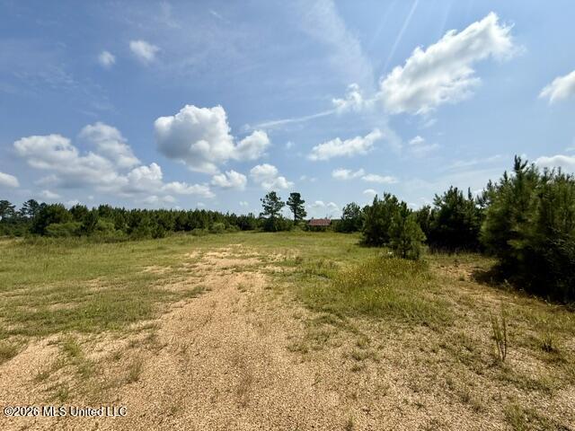 Ten Mile Creek Road Property Photo 45