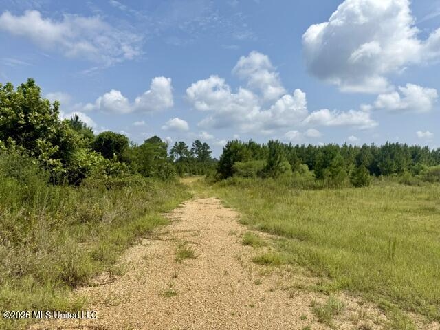 Ten Mile Creek Road Property Photo 46
