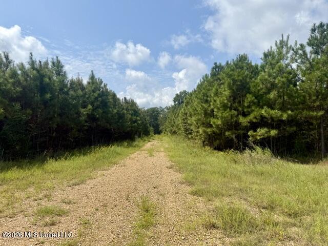 Ten Mile Creek Road Property Photo 47