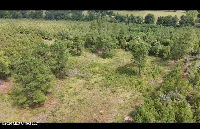 Ten Mile Creek Road Property Photo 49