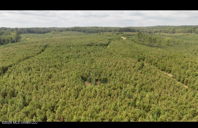 Ten Mile Creek Road Property Photo 50