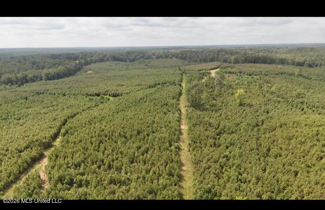 Ten Mile Creek Road Property Photo 51