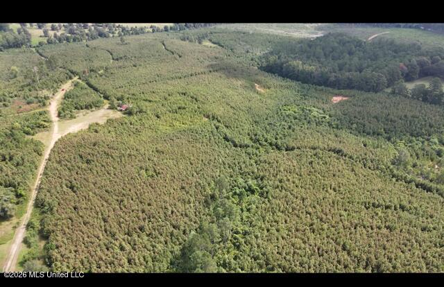 Ten Mile Creek Road Property Photo 52