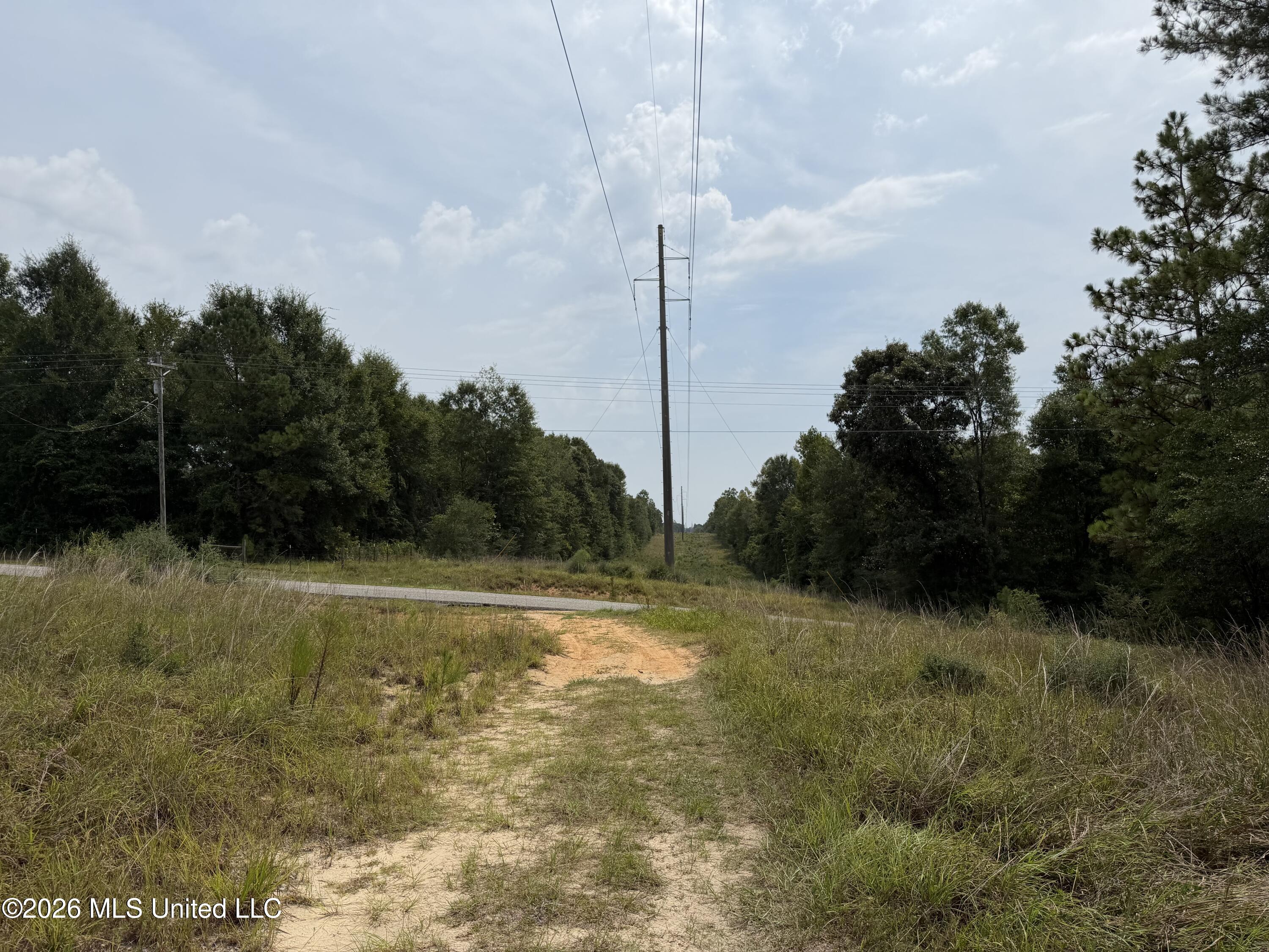 W Woodland Drive Property Photo 3