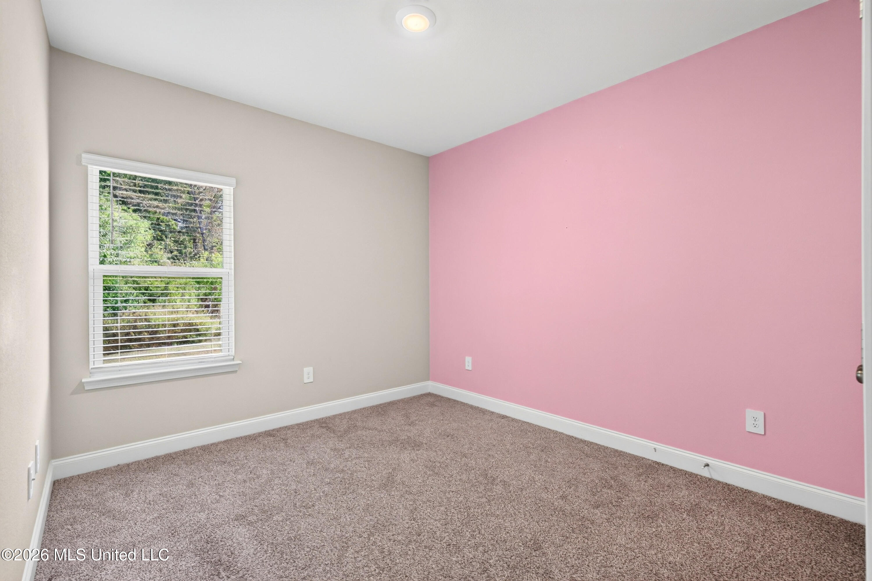 8009 Crawford Drive Property Photo 38