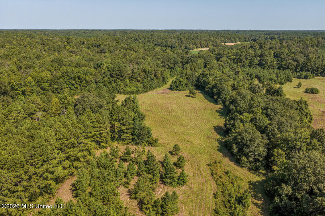 5056 Bethesda Road Property Photo 4
