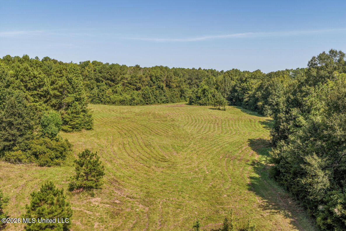 5056 Bethesda Road Property Photo 6