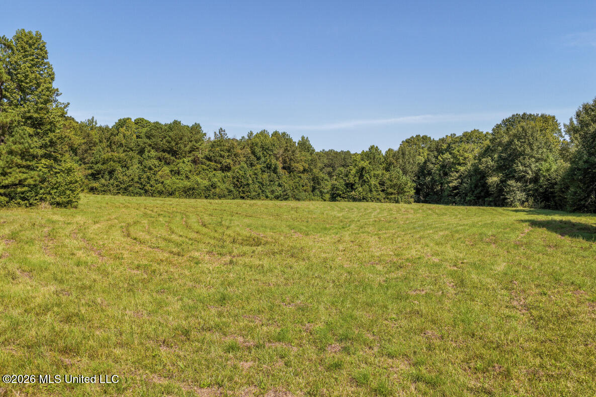 5056 Bethesda Road Property Photo 7