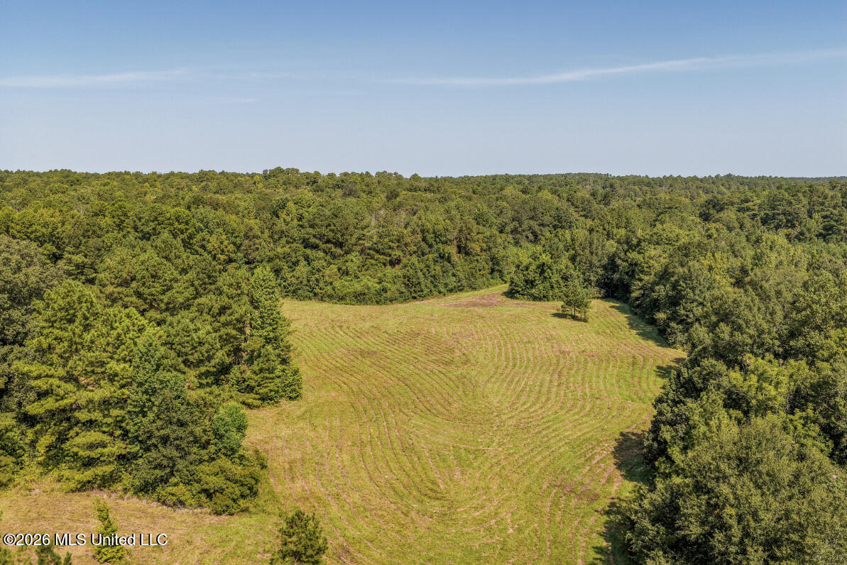 5056 Bethesda Road Property Photo 9