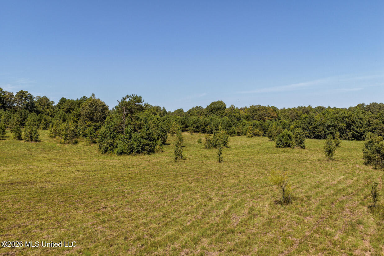 5056 Bethesda Road Property Photo 10