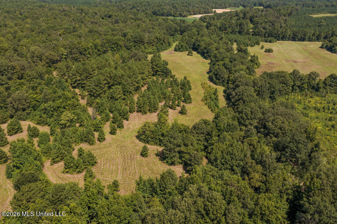 5056 Bethesda Road Property Photo 21