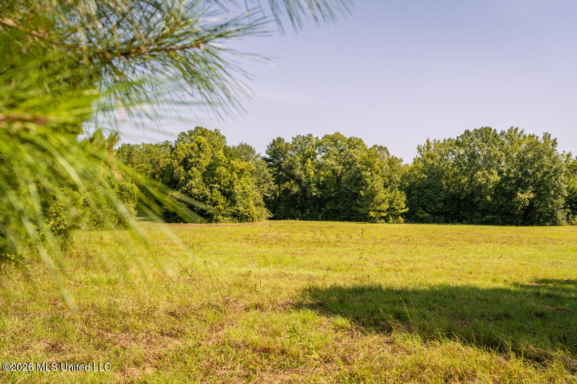 5056 Bethesda Road Property Photo 24