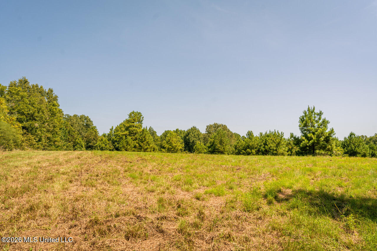 5056 Bethesda Road Property Photo 31