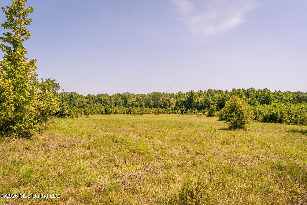 5056 Bethesda Road Property Photo 32