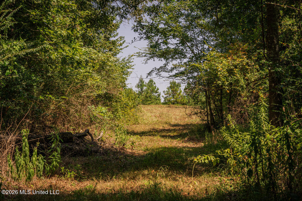 5056 Bethesda Road Property Photo 33