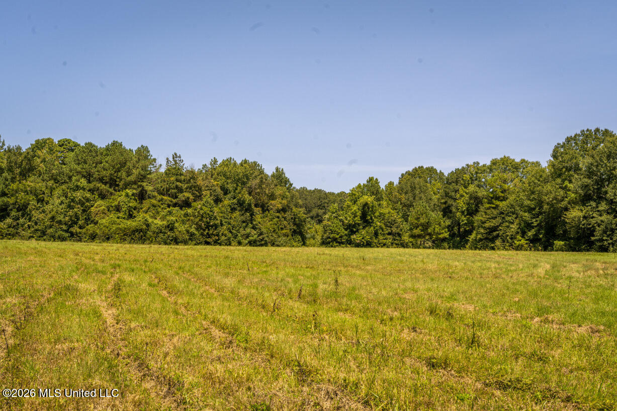 5056 Bethesda Road Property Photo 42