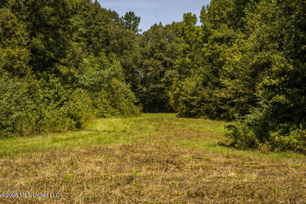 5056 Bethesda Road Property Photo 44
