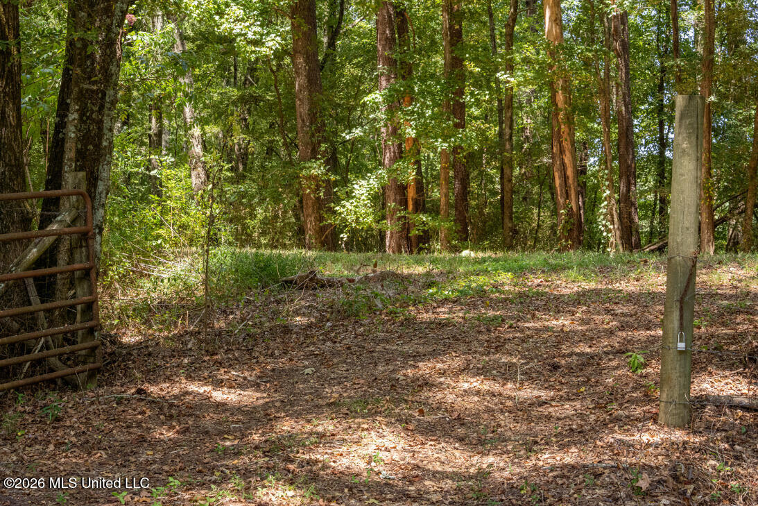 5056 Bethesda Road Property Photo 45