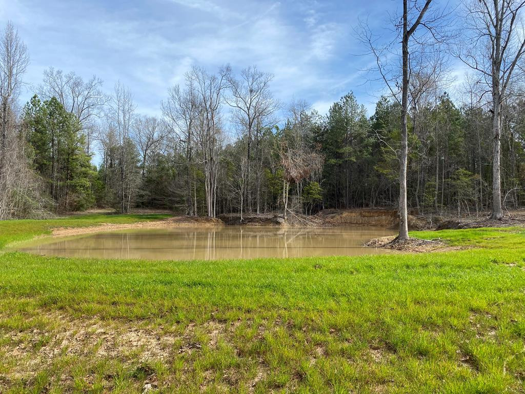 Tbd Poplar Ridge Lane Property Photo 1