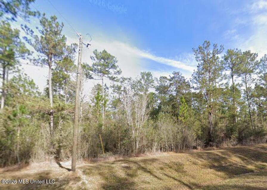 15 Acres Bethel Road Property Photo 1
