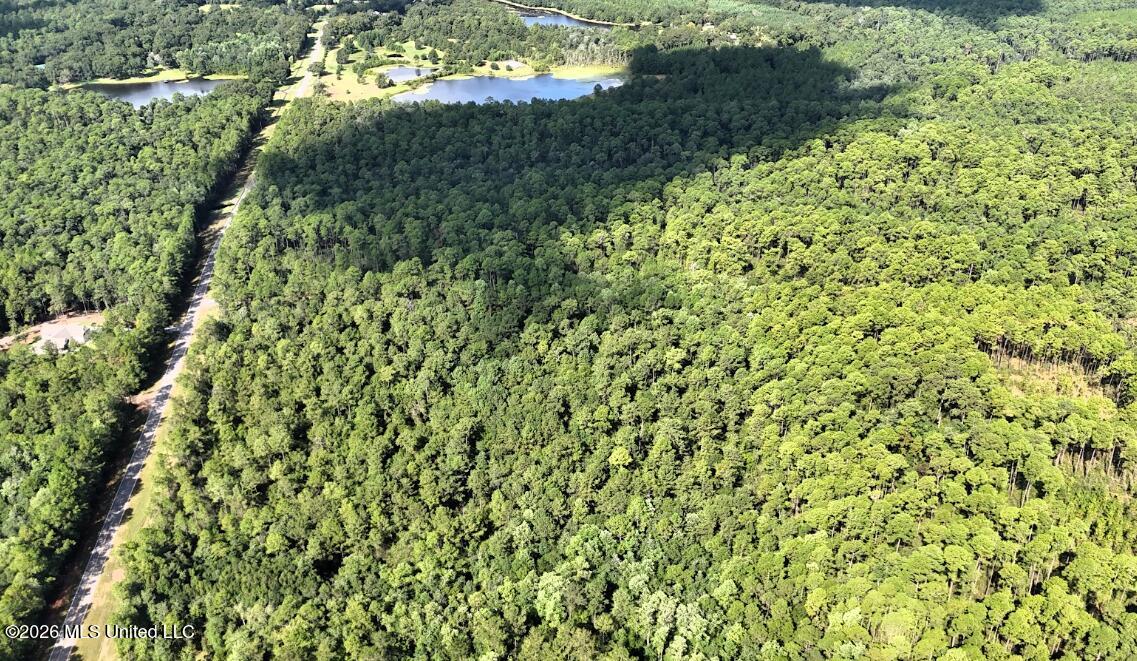 15 Acres Bethel Road Property Photo 4