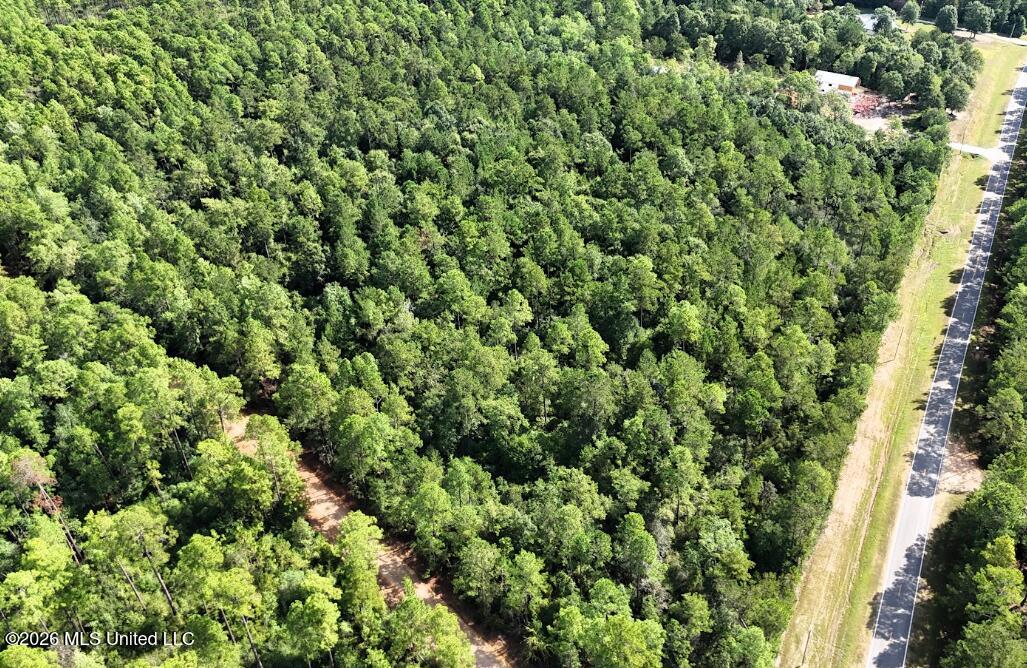 15 Acres Bethel Road Property Photo 5