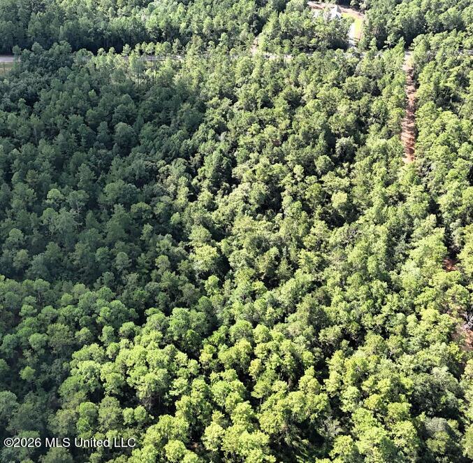 15 Acres Bethel Road Property Photo 6
