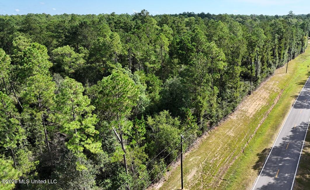15 Acres Bethel Road Property Photo 7