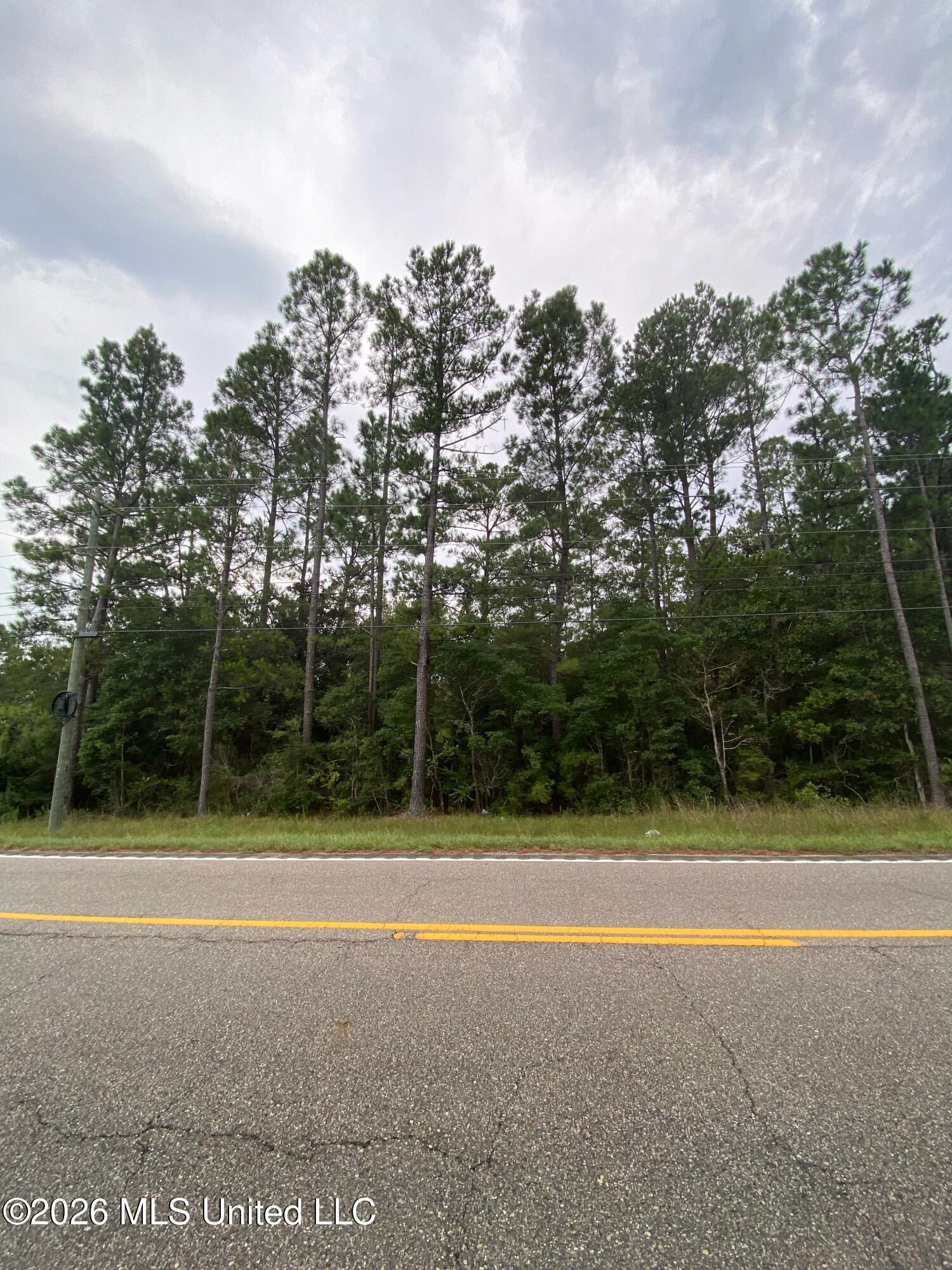 Wolf River Road Property Photo 1
