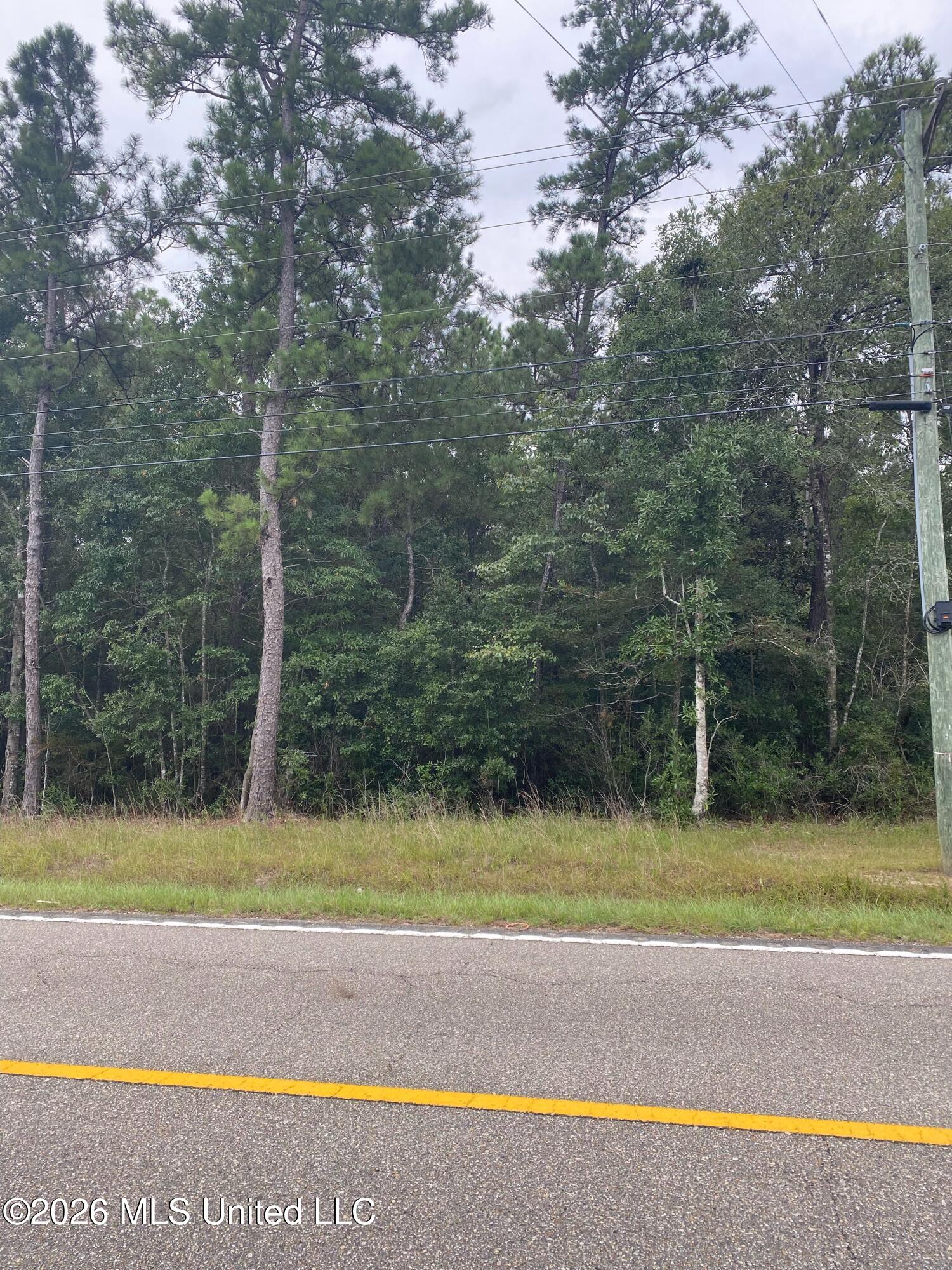 Wolf River Road Property Photo 2