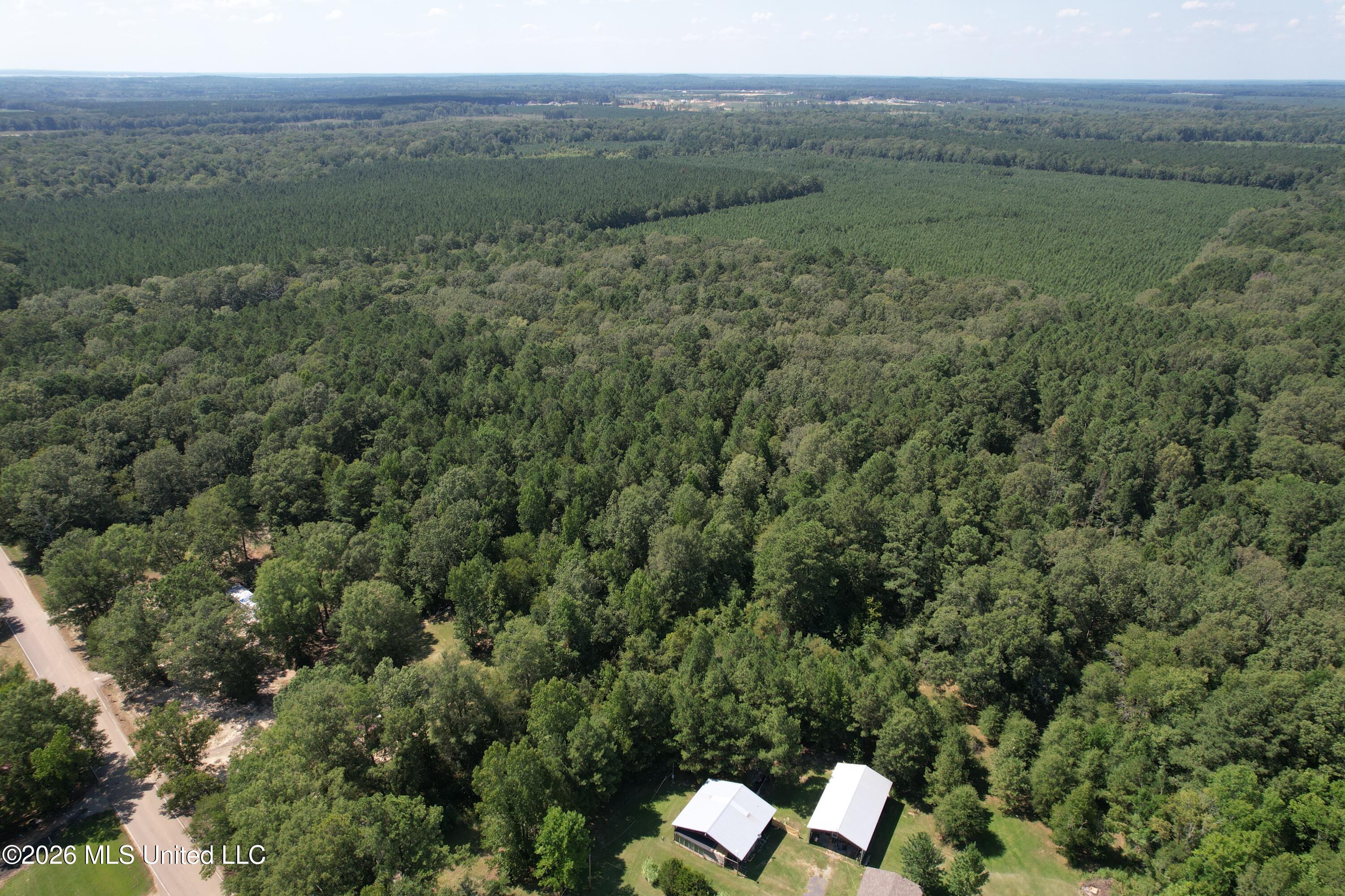 Holly Bush Property Photo 1