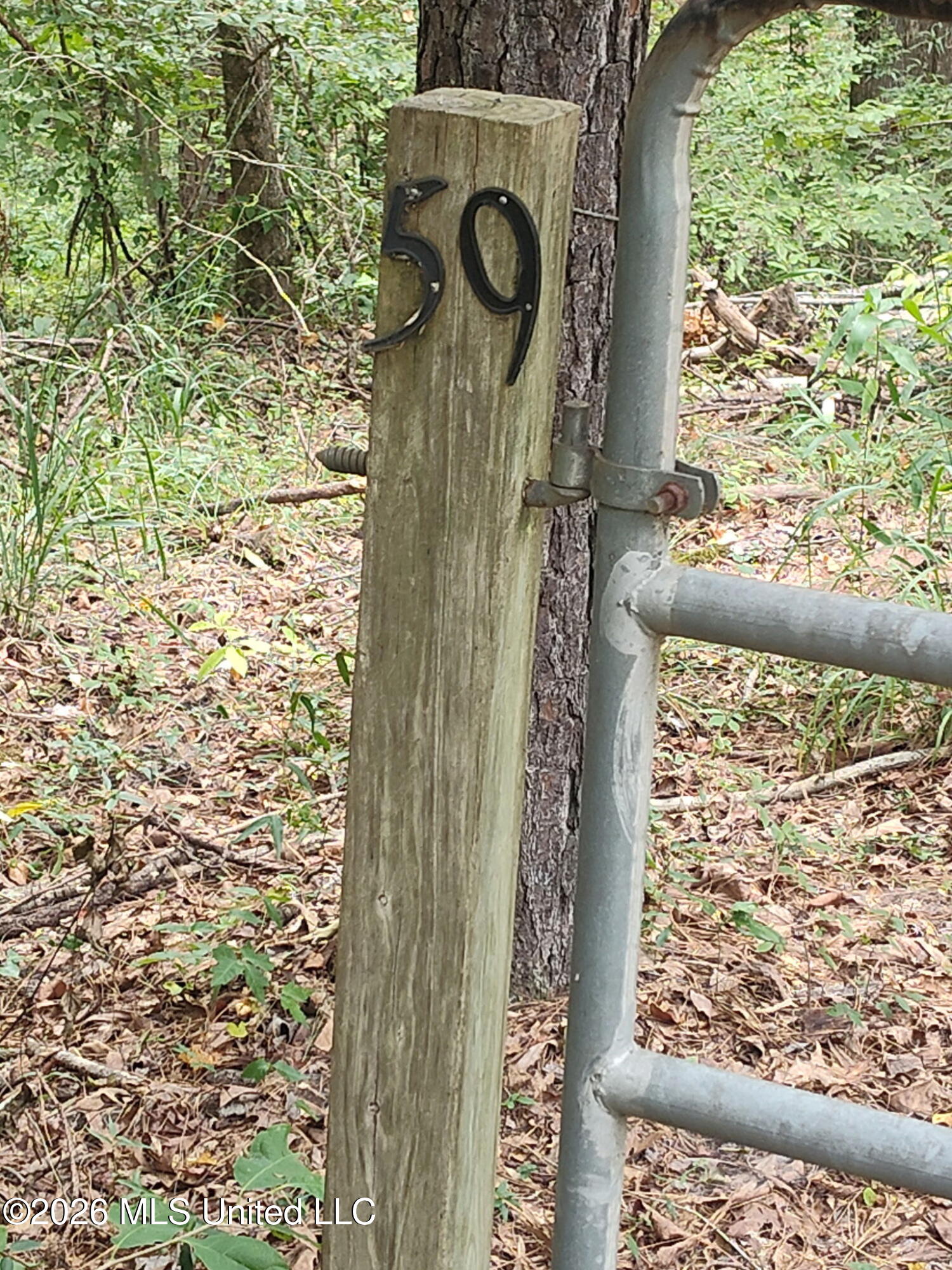 59 Carrie Road Property Photo 1