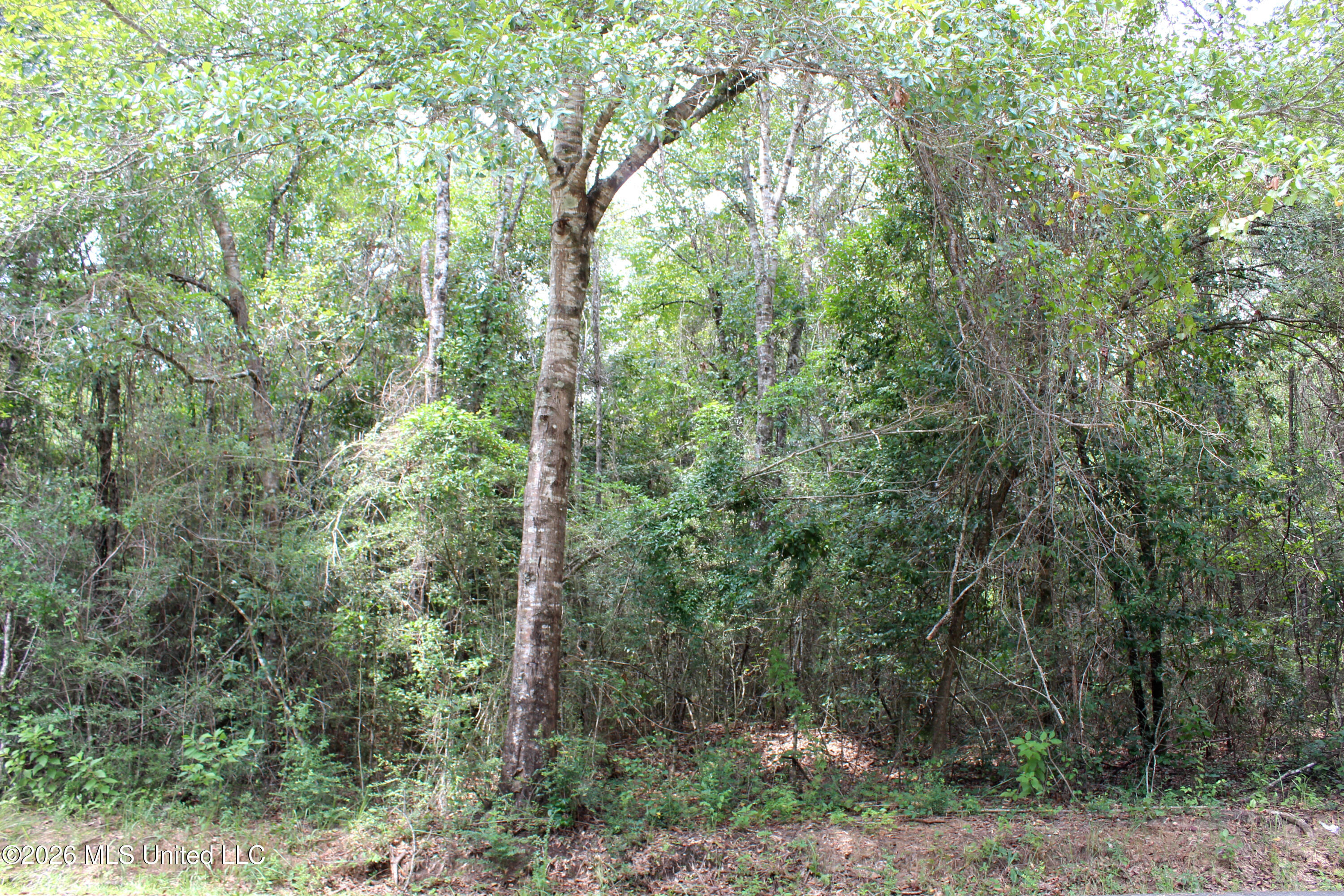 Moddie K Road Property Photo 6
