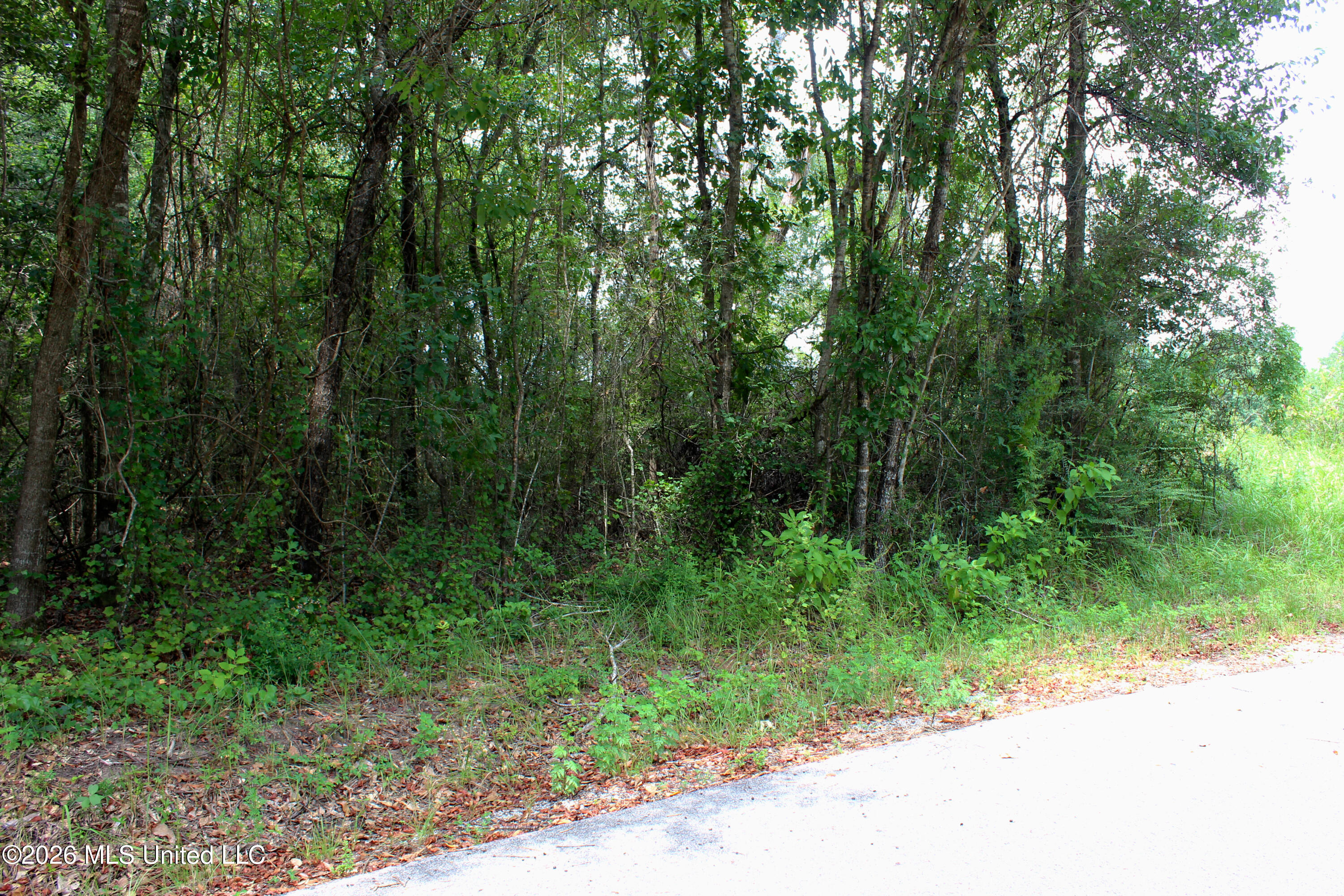 Moddie K Road Property Photo 7