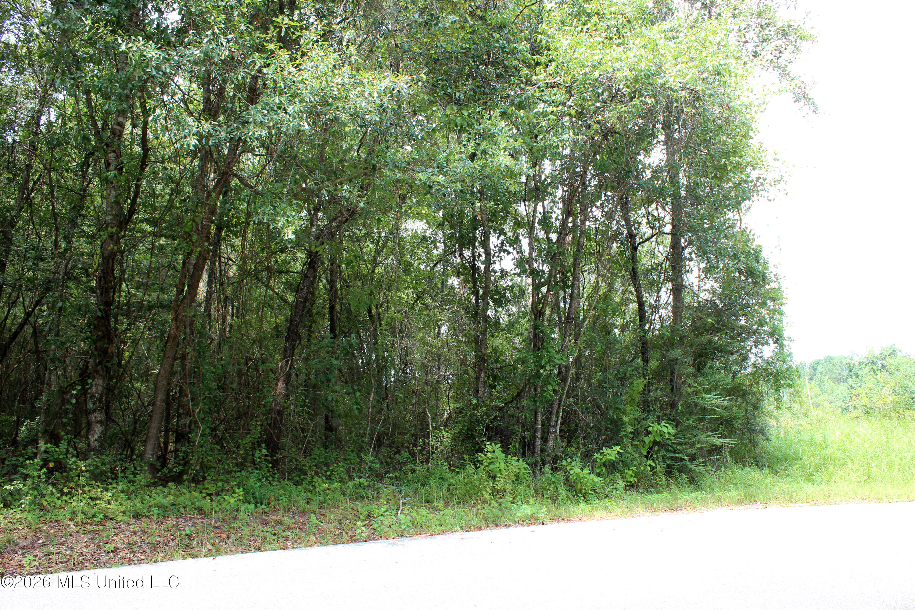 Moddie K Road Property Photo 8