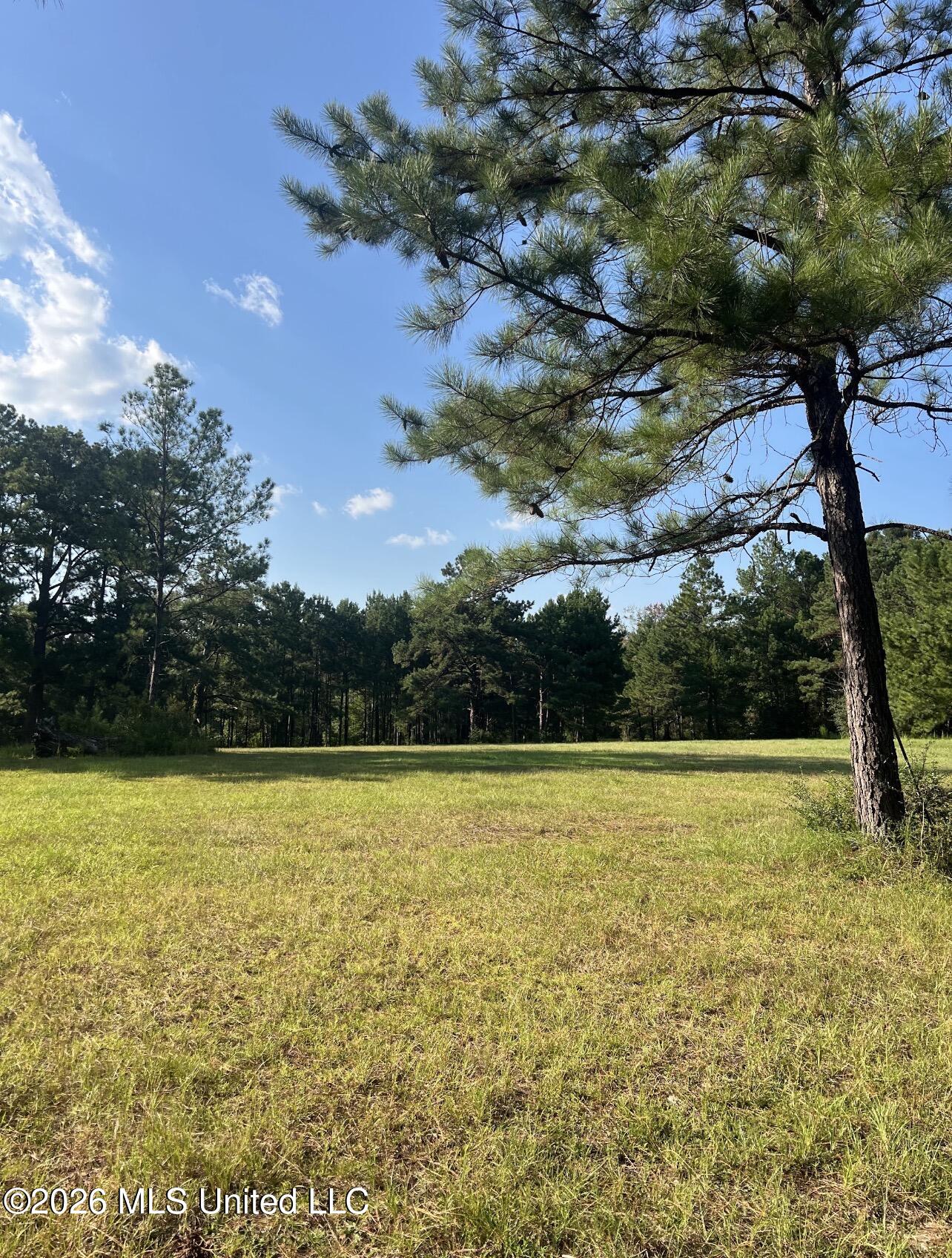 15528 Broadus Road Property Photo 2