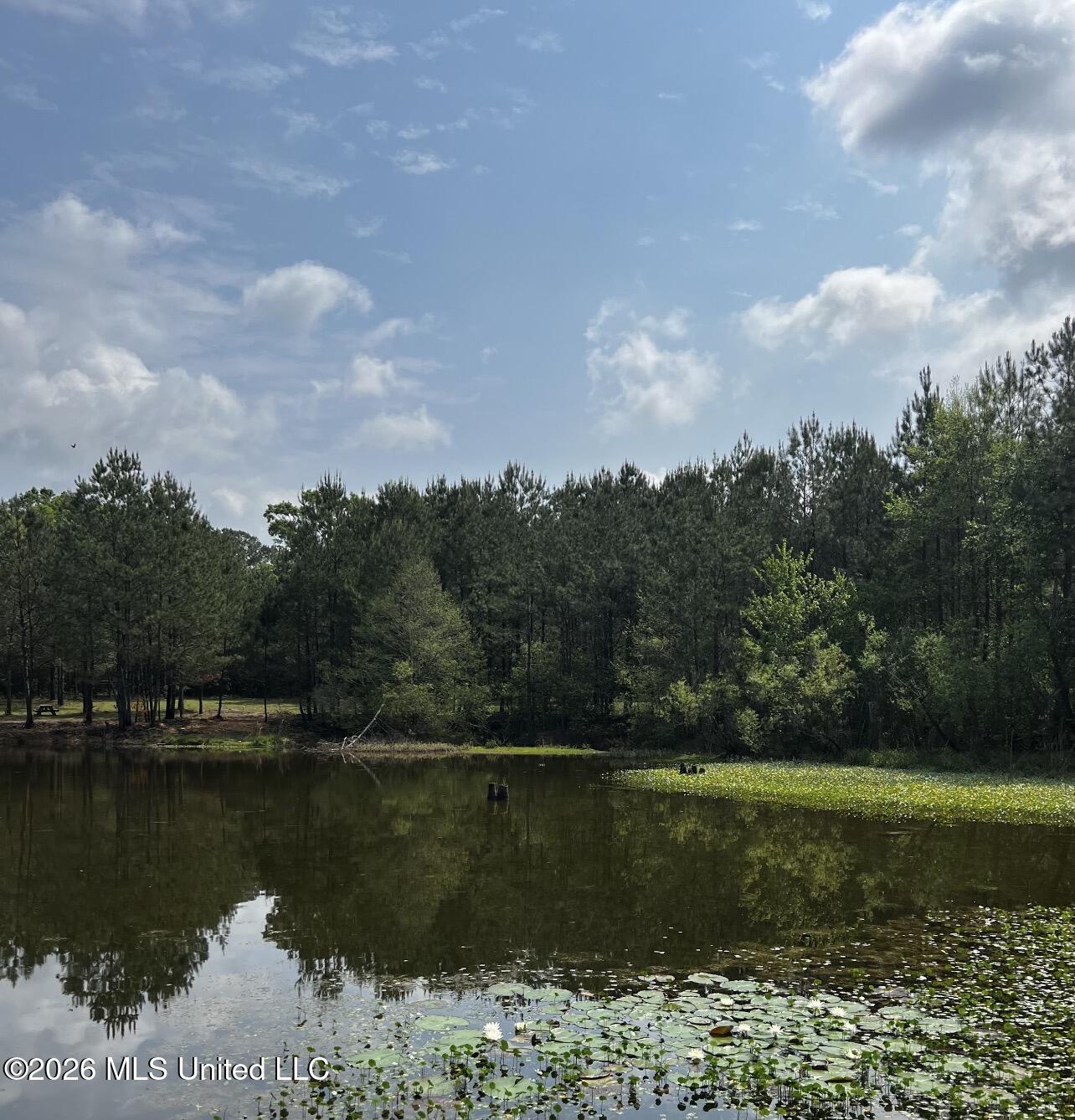 15528 Broadus Road Property Photo 3