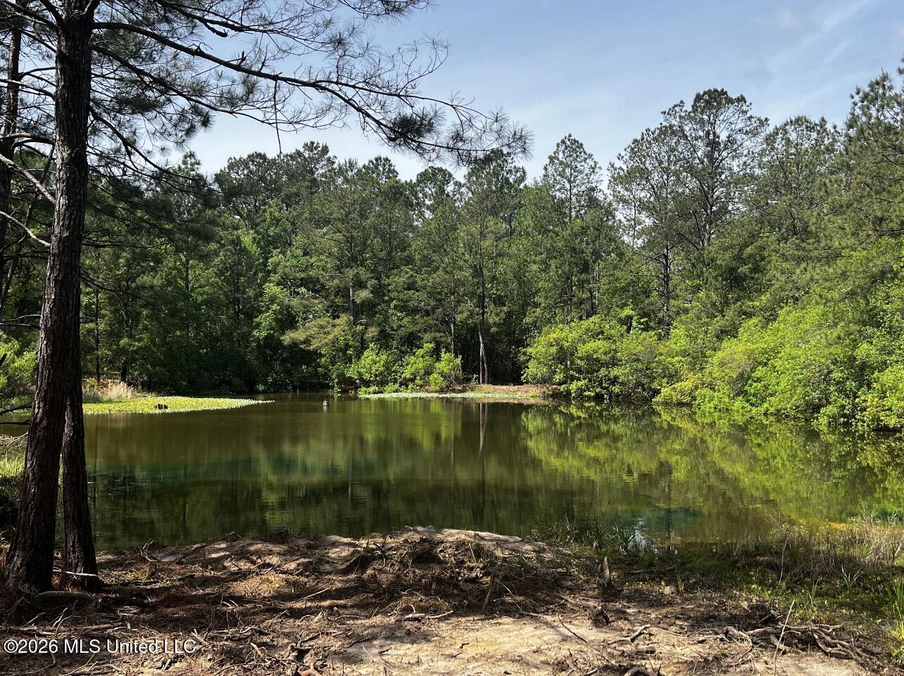 15528 Broadus Road Property Photo 4
