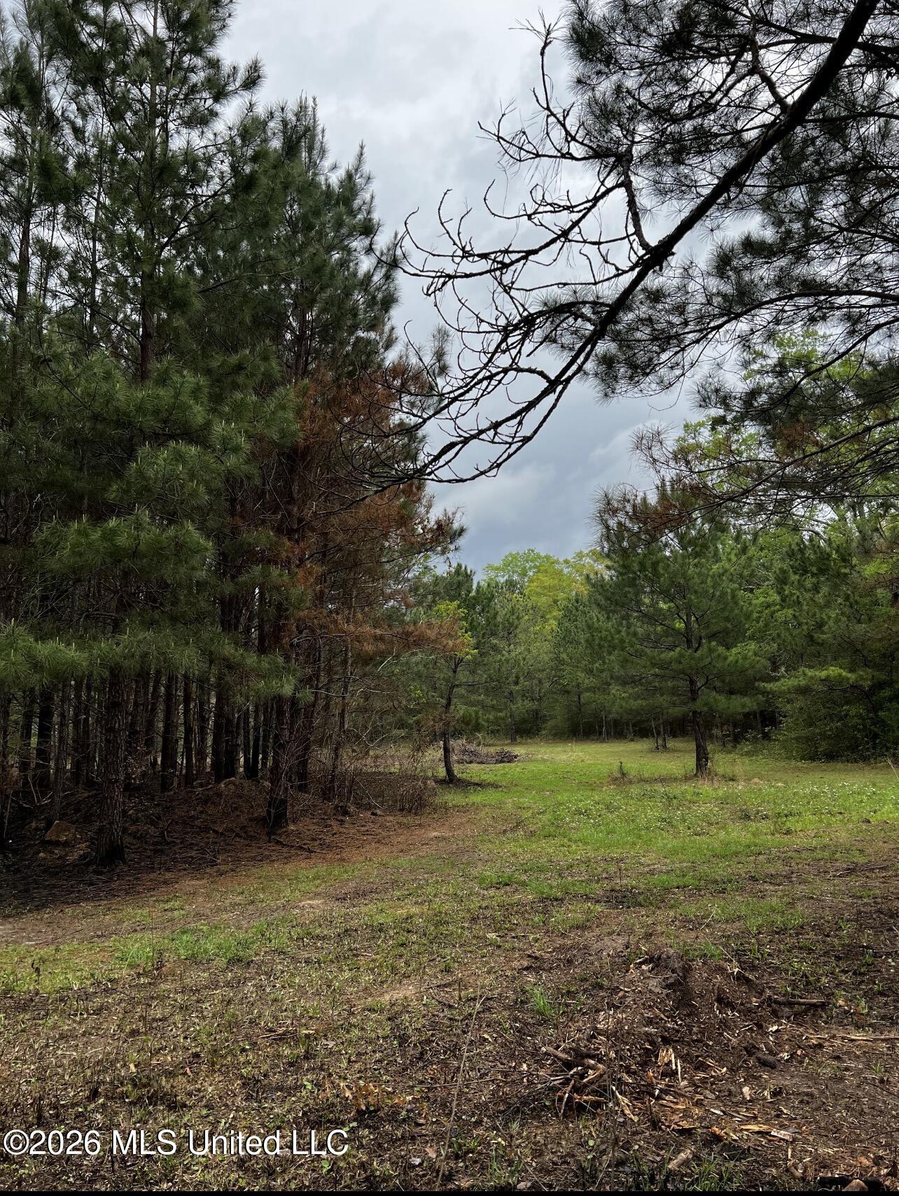15528 Broadus Road Property Photo 6