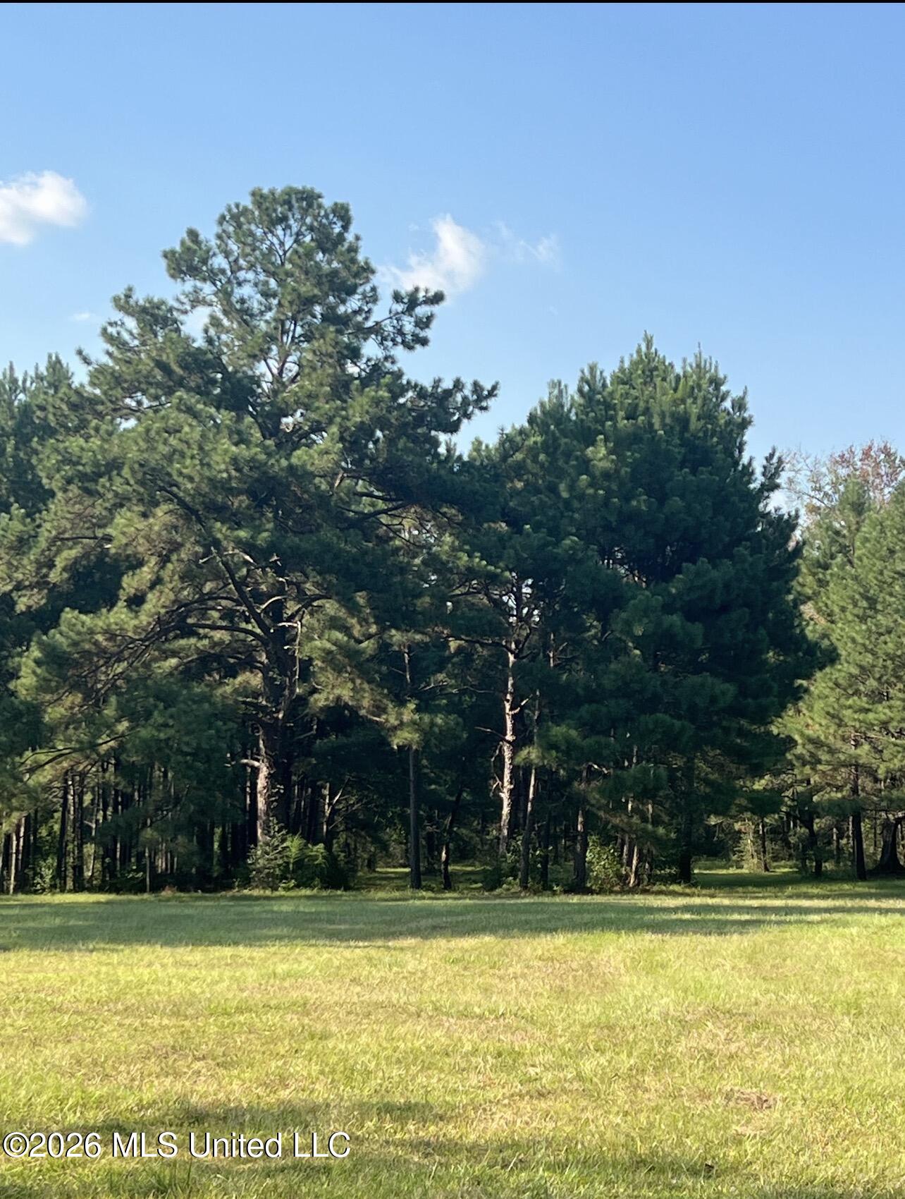 15528 Broadus Road Property Photo 7