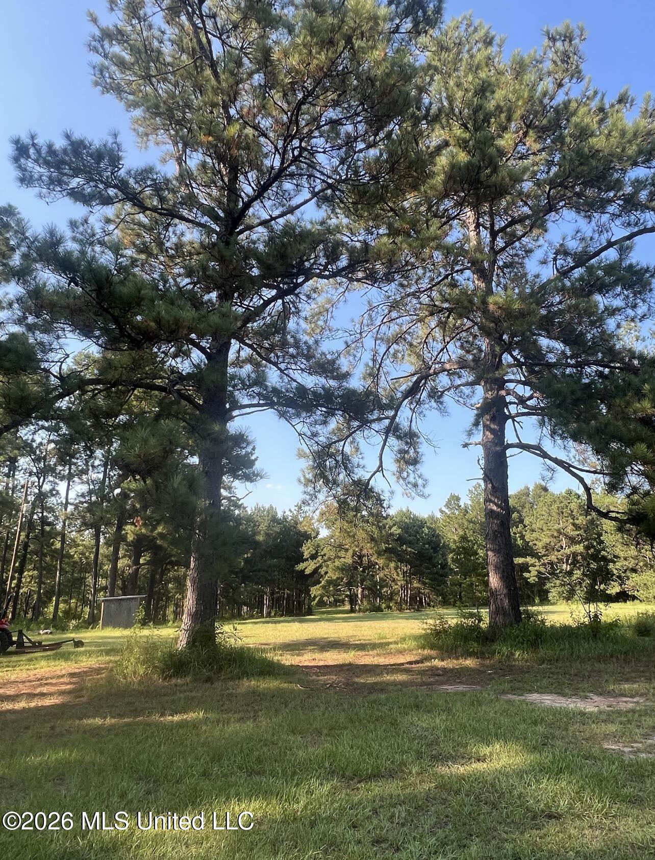 15528 Broadus Road Property Photo 13