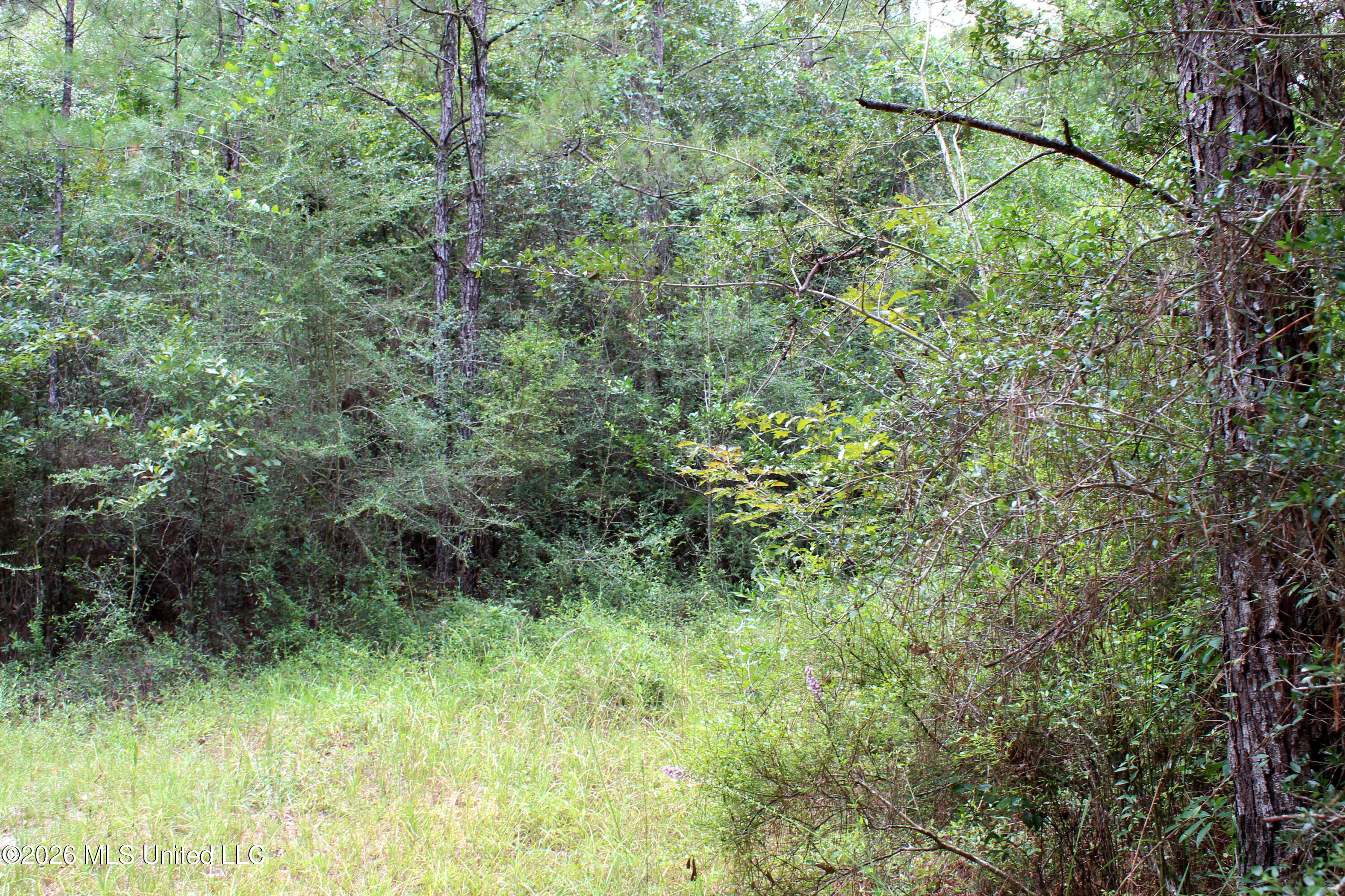 John Kelly Road Property Photo 4