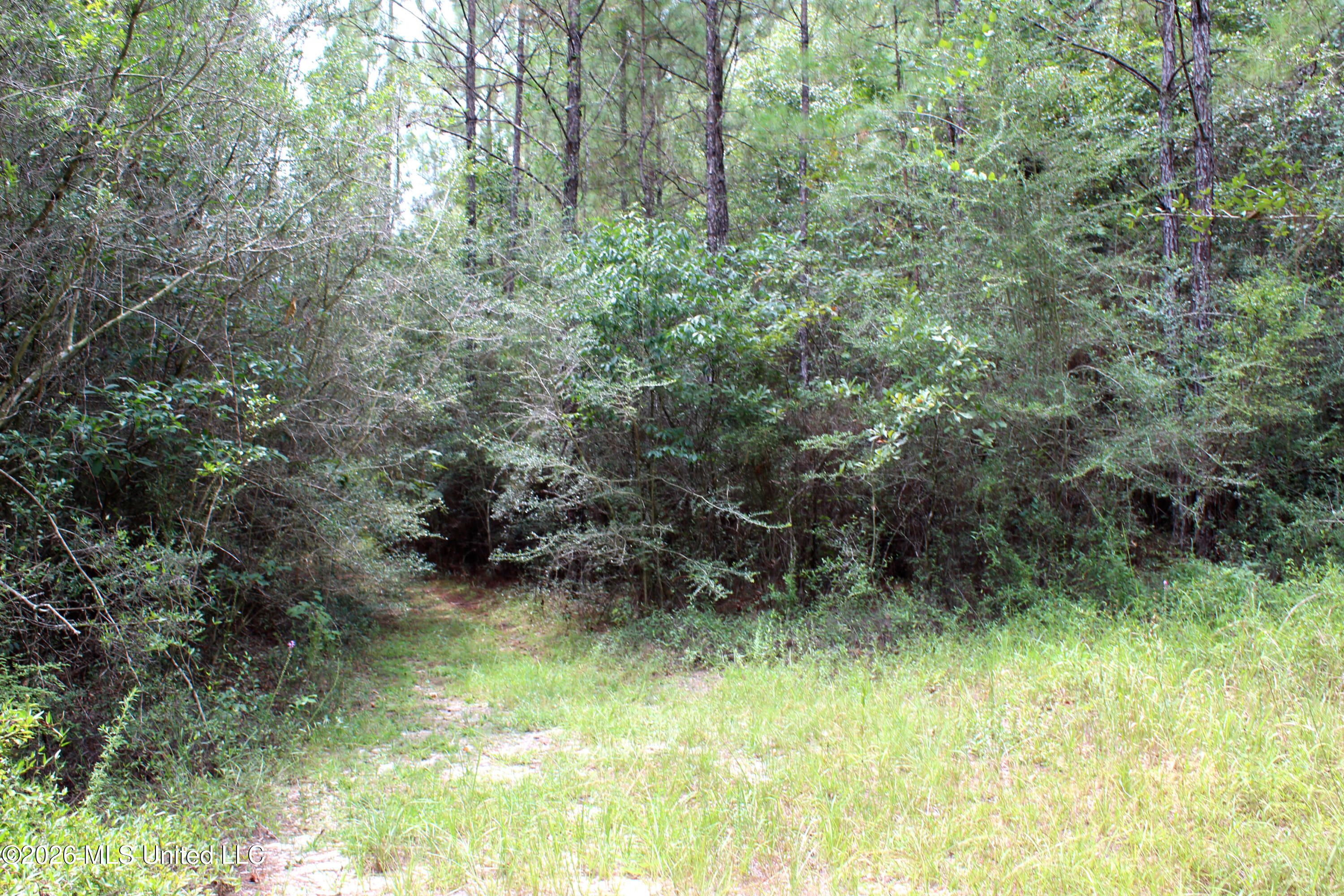 John Kelly Road Property Photo 5