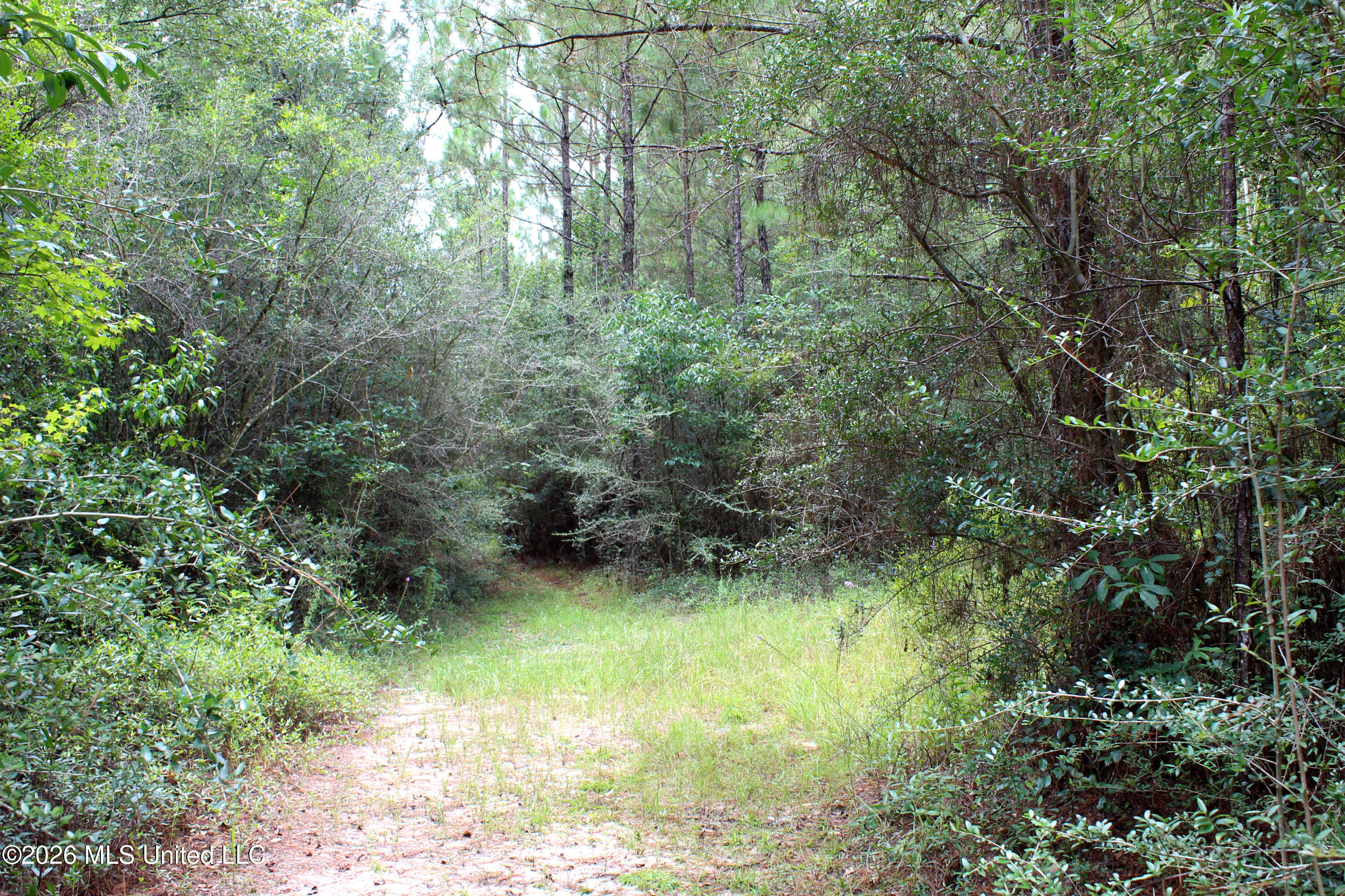 John Kelly Road Property Photo 6
