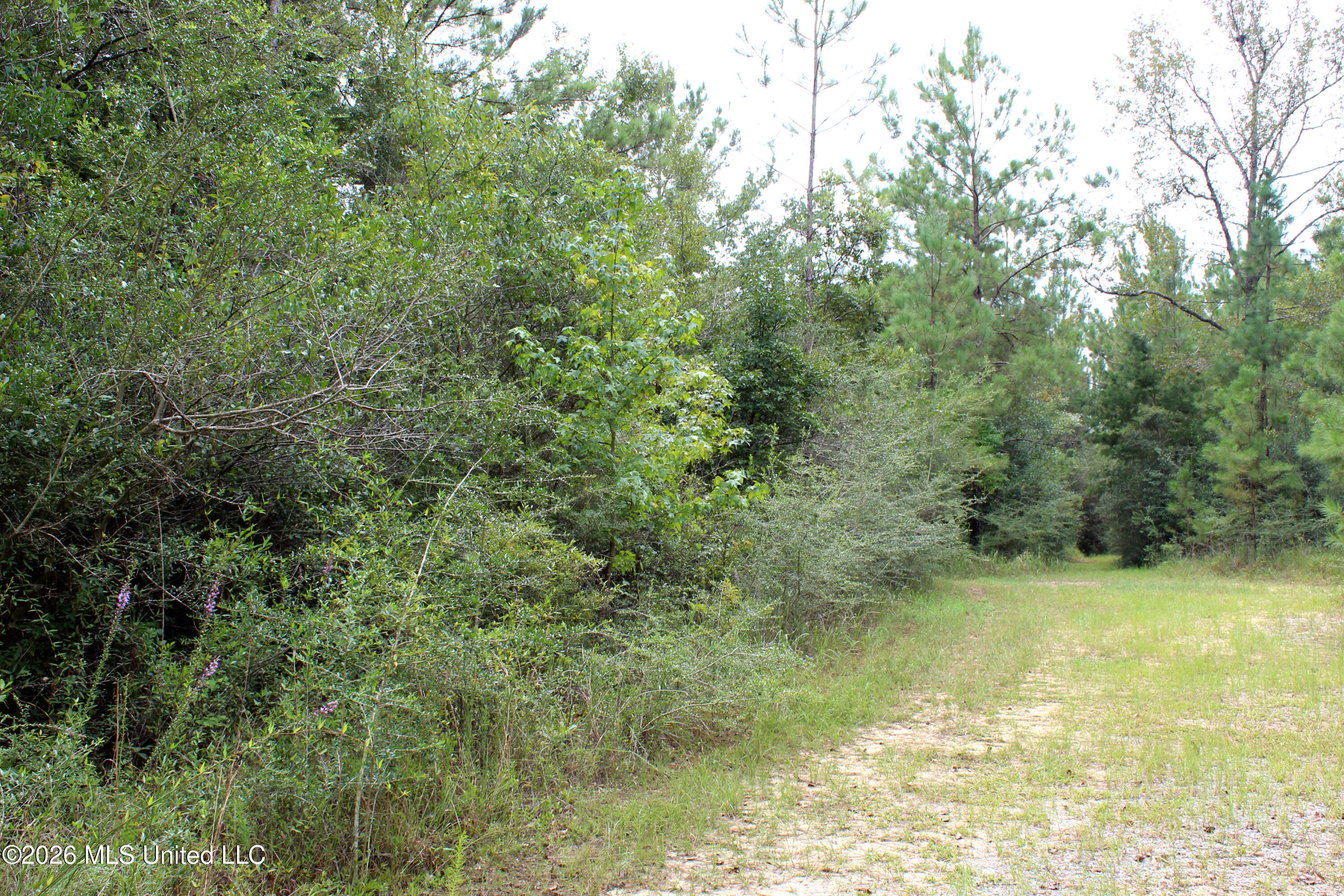 John Kelly Road Property Photo 7