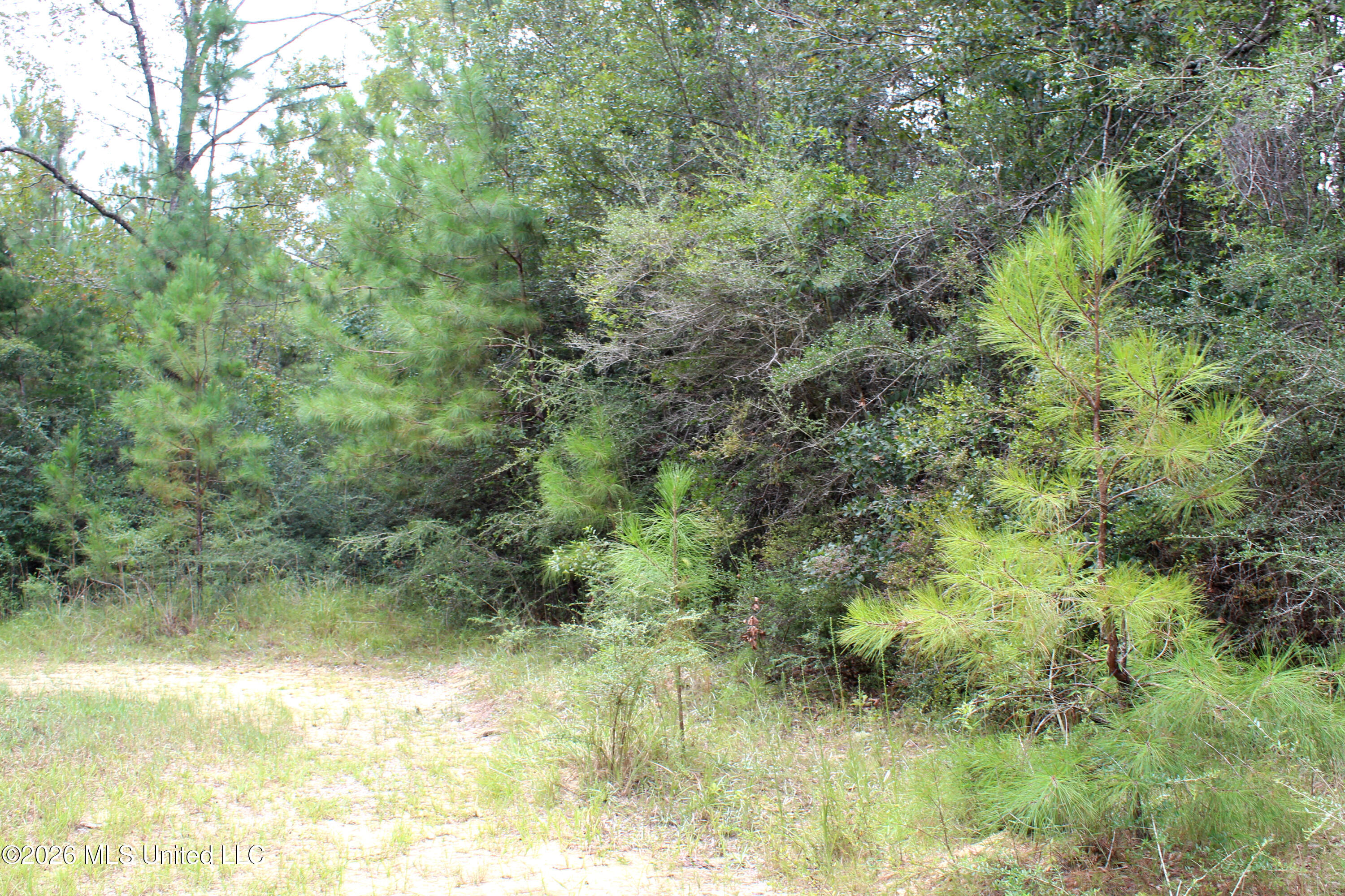 John Kelly Road Property Photo 8