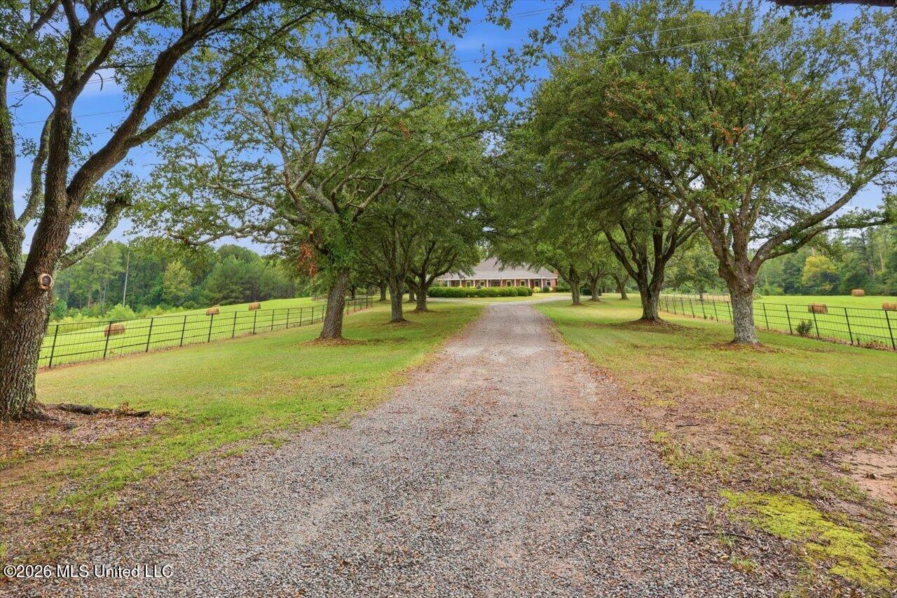 1124 Perrett Road Property Photo 5