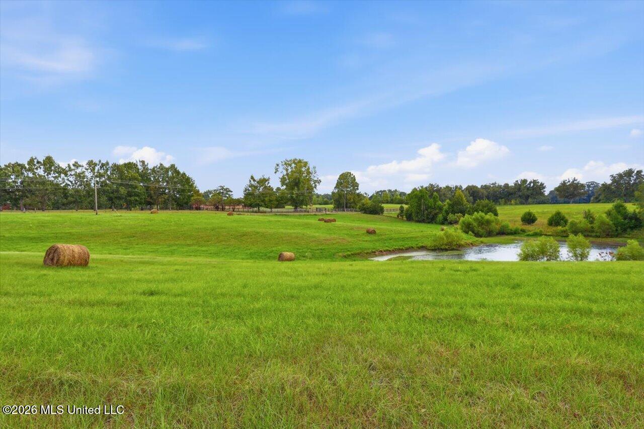 1124 Perrett Road Property Photo 8