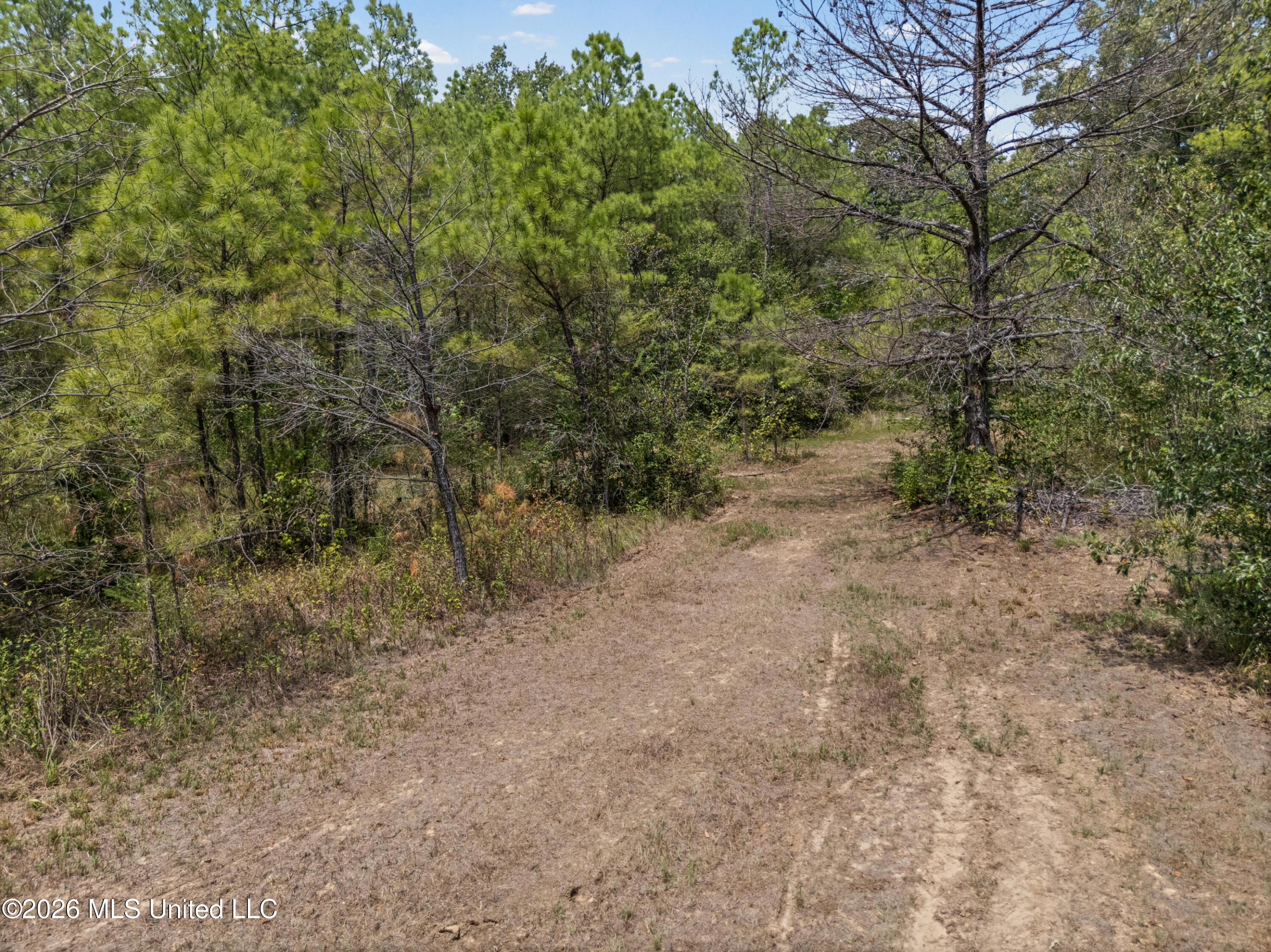 Brownlee Road Property Photo 6